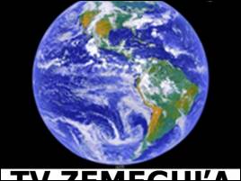 tvzemegula
