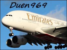 duen969