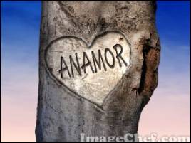 anamor