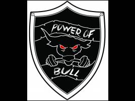 powerofbull