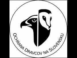 dravce