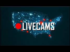 livecams