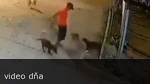 videa