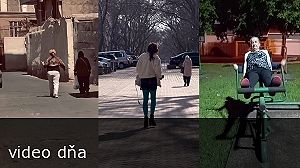 videa